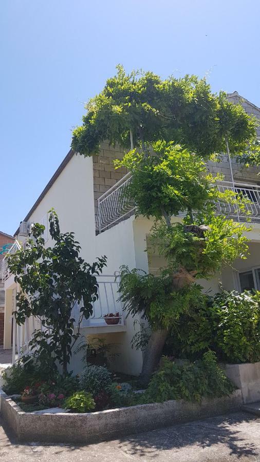Apartman Lucija Корчула Екстер'єр фото